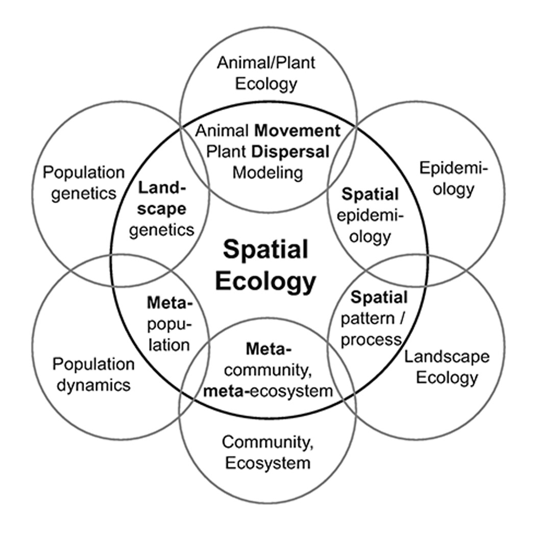 Galerie Spacial ecology