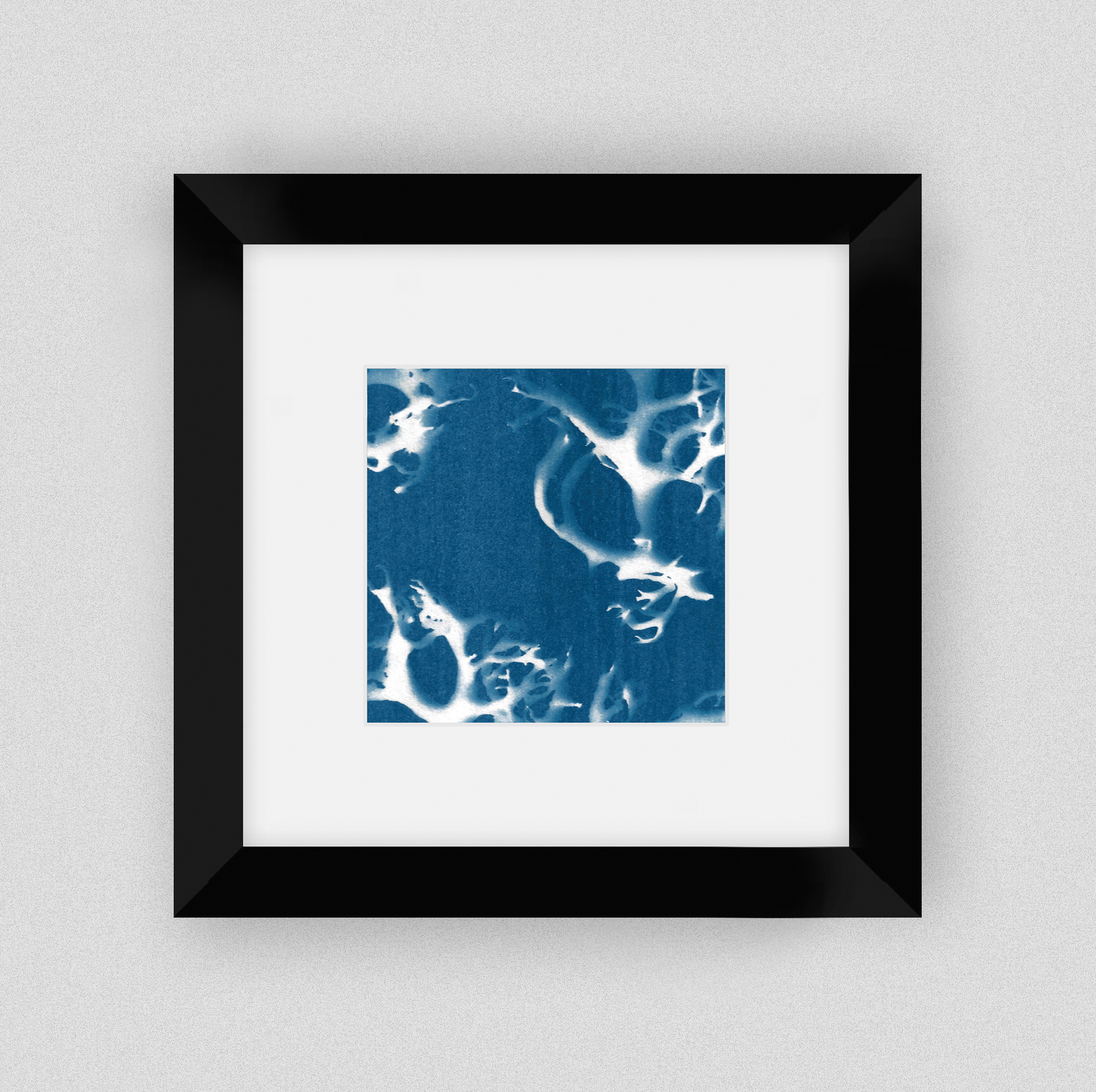 Galerie Spectral Symbiosis